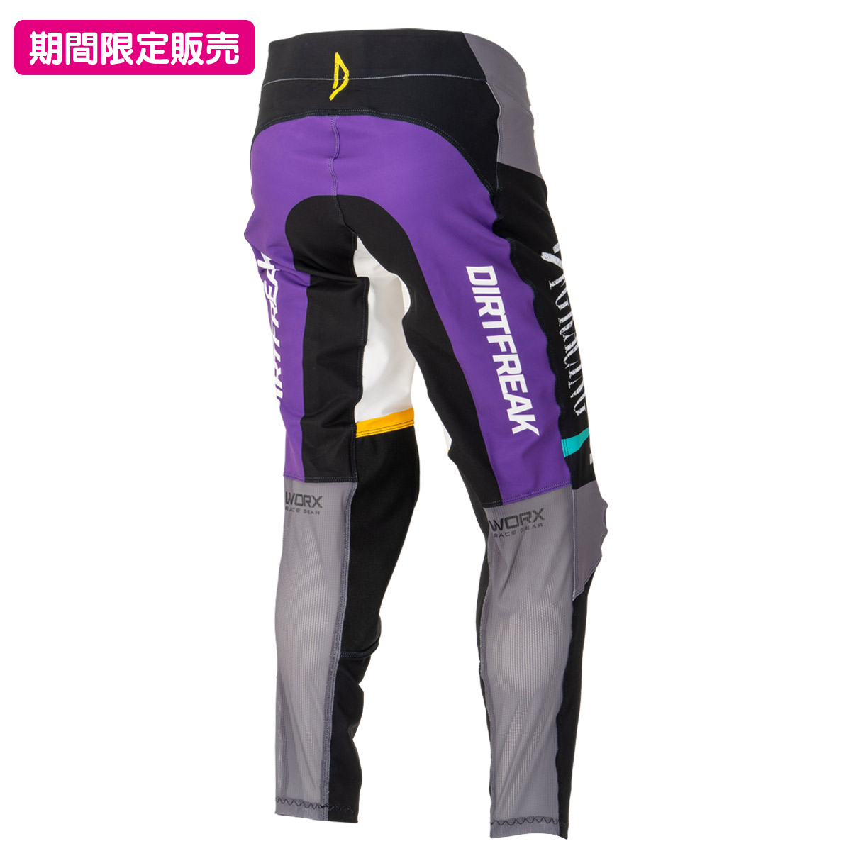 ワークスパンツ 35th LE シアン